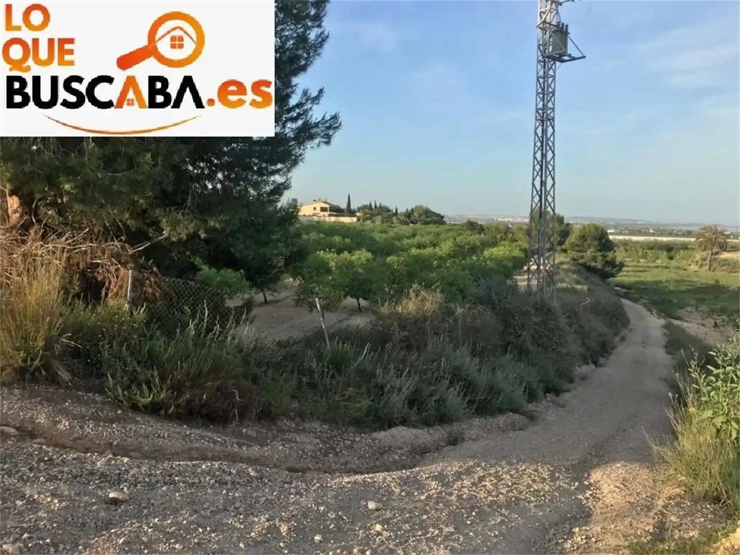 Finca rústica en venda a Calle Diecinueve de Abril, San Miguel de Salinas Finca rústica en venda en San Miguel de Salinas amb Aire condicionat, Terrassa i Piscina