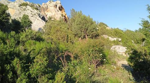 Photo 4 of Country house for sale in Ab-507, Nerpio, Albacete