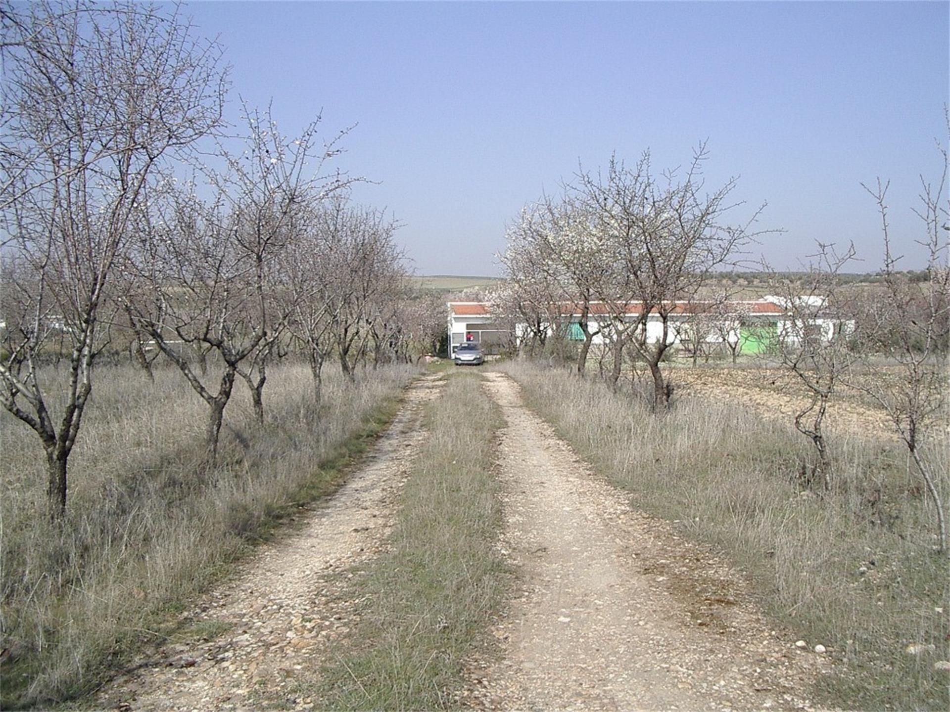 Land for sale in Torres de la Alameda