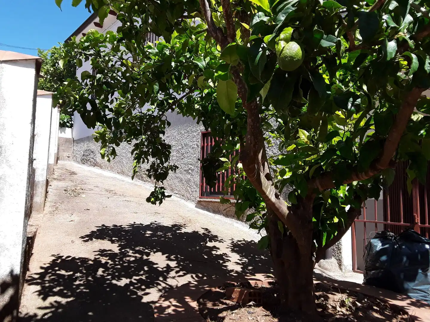 Exterior view of Houses for sale in Valverde del Fresno  with Private garden, Terrace and Furnished