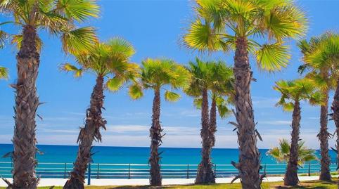 Pis per a compartir a Calle Níspero, Lomas de Cabo Roig - Los Dolses, Alicante - imatge 3 Foto 3 de Pis per a compartir a Calle Níspero, Lomas de Cabo Roig - Los Dolses, Alicante