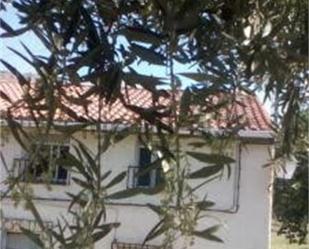 Garden of Duplex for sale in Letur  with Air Conditioner