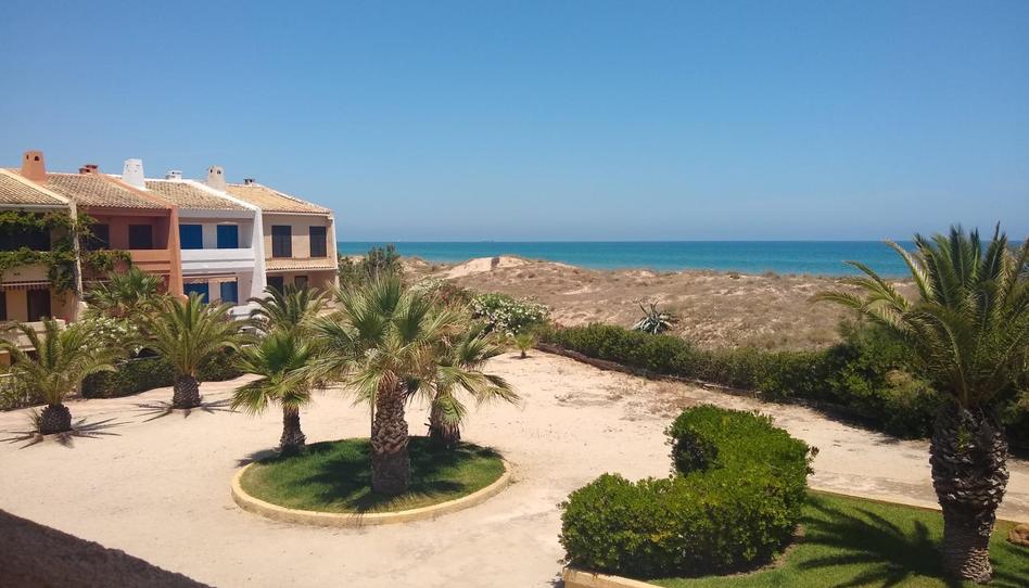 Casa adosada de lloguer a Plaza de la Olivera, 1, Oliva Playa, Valencia - imatge 1 Foto 1 de Casa adosada de lloguer a Plaza de la Olivera, 1, Oliva Playa, Valencia