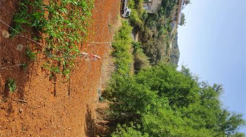 Photo 5 of Non-constructible Land for sale in Camino del Campanario, Portada Verde - Lomo Espino - Guanche, Las Palmas