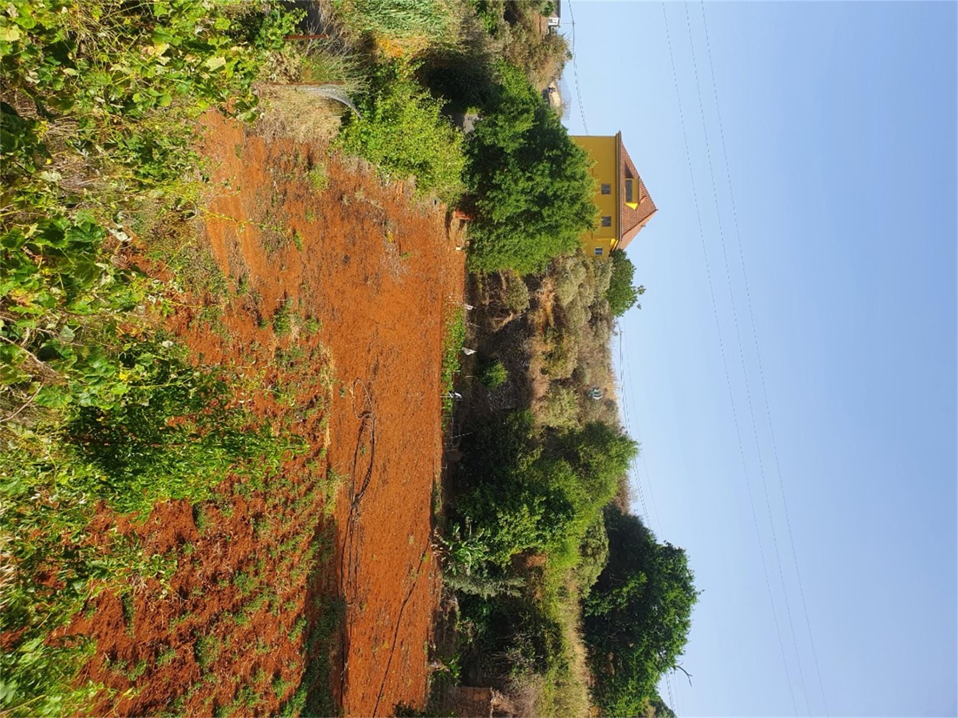 Non-constructible Land for sale in Santa Brígida