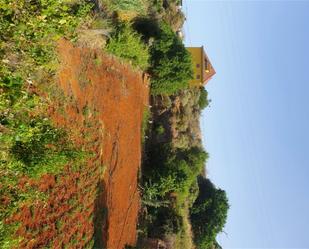 Non-constructible Land for sale in Santa Brígida