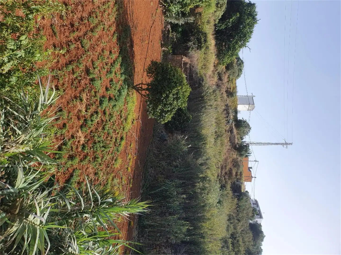 No Urbanizable en venta en Santa Brígida