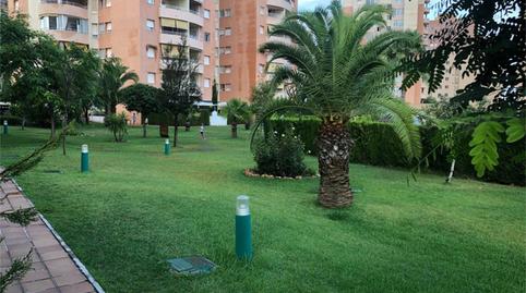 Photo 2 of Flat for rent in Calle Concha Espina, Campoamor, Orihuela
