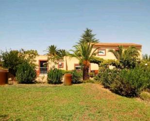 Exterior view of Country house for sale in Villanueva de la Serena  with Private garden, Terrace and Swimming Pool