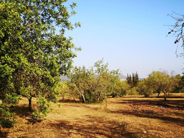 Terreno en Venta en Jesús - Els Reguers