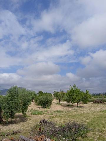 Oficina en Alquiler en Paseo Mayor en Rebolledo