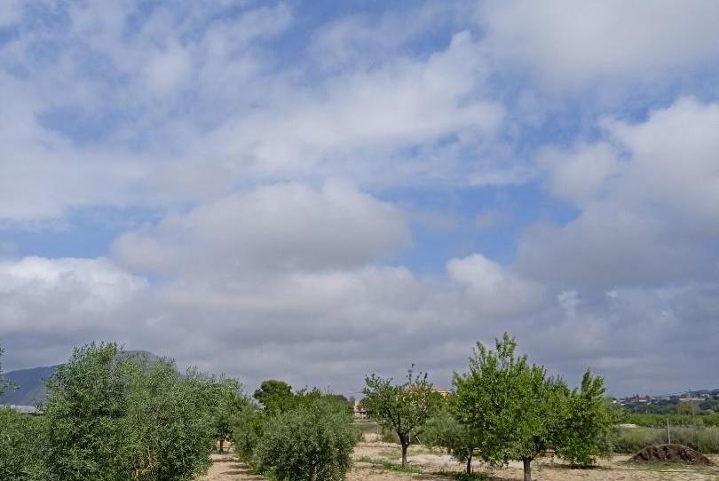 Oficina de lloguer a Paseo Mayor, Rebolledo, Alicante - imatge 1 Foto 1 de Oficina de lloguer a Paseo Mayor, Rebolledo, Alicante