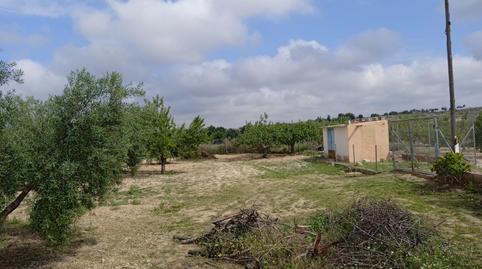 Oficina de lloguer a Paseo Mayor, Rebolledo, Alicante - imatge 2 Foto 2 de Oficina de lloguer a Paseo Mayor, Rebolledo, Alicante