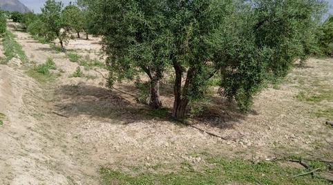 Oficina de lloguer a Paseo Mayor, Rebolledo, Alicante - imatge 3 Foto 3 de Oficina de lloguer a Paseo Mayor, Rebolledo, Alicante