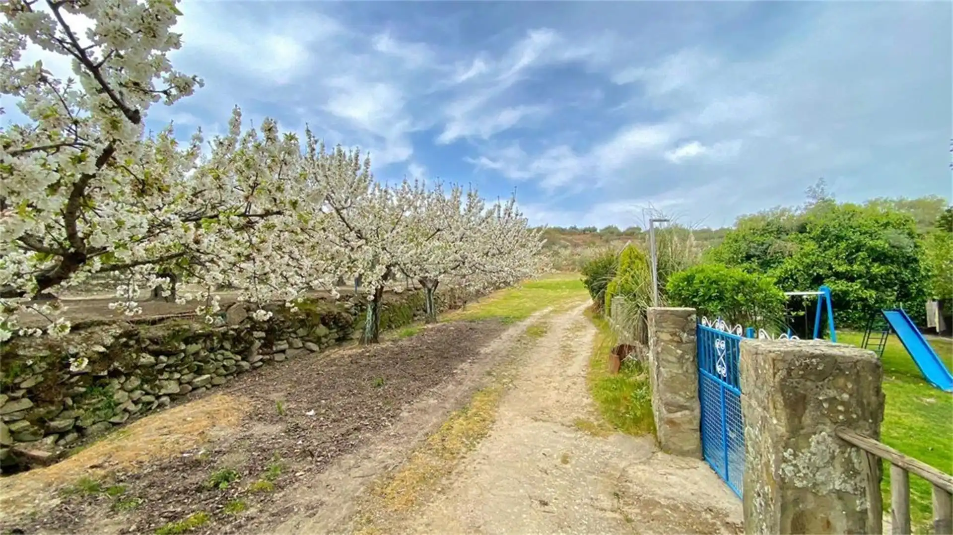 Exterior view of Industrial land for sale in Montánchez