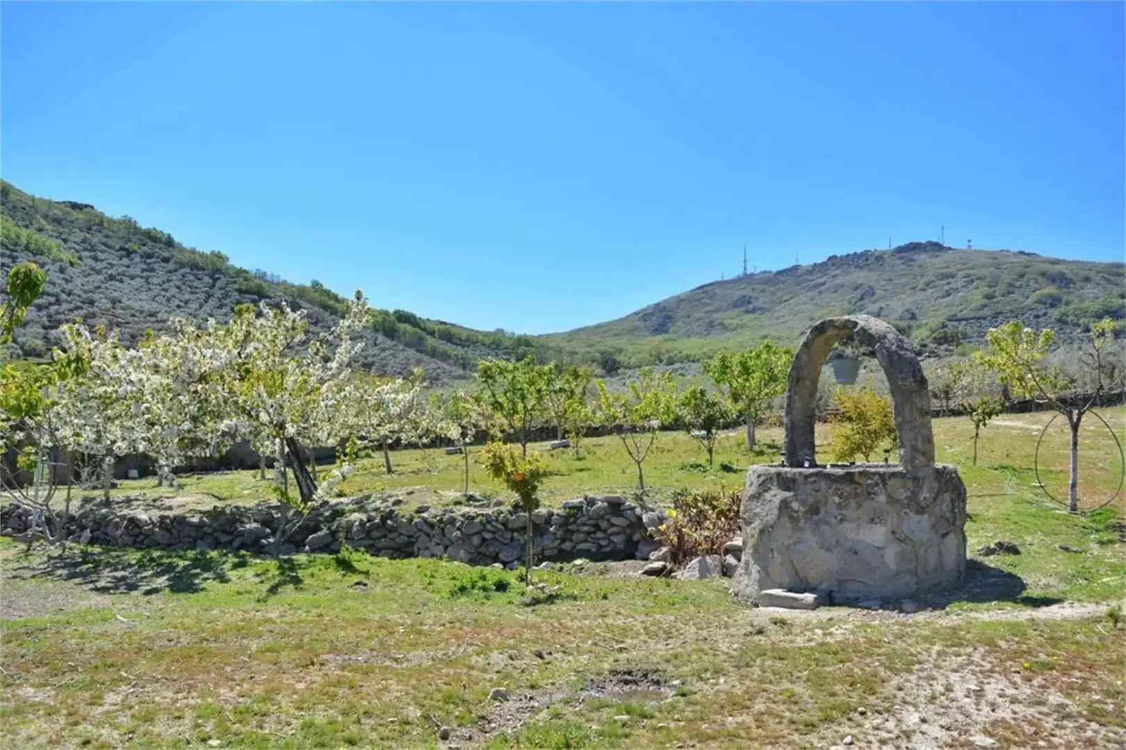 Garden of Industrial land for sale in Montánchez