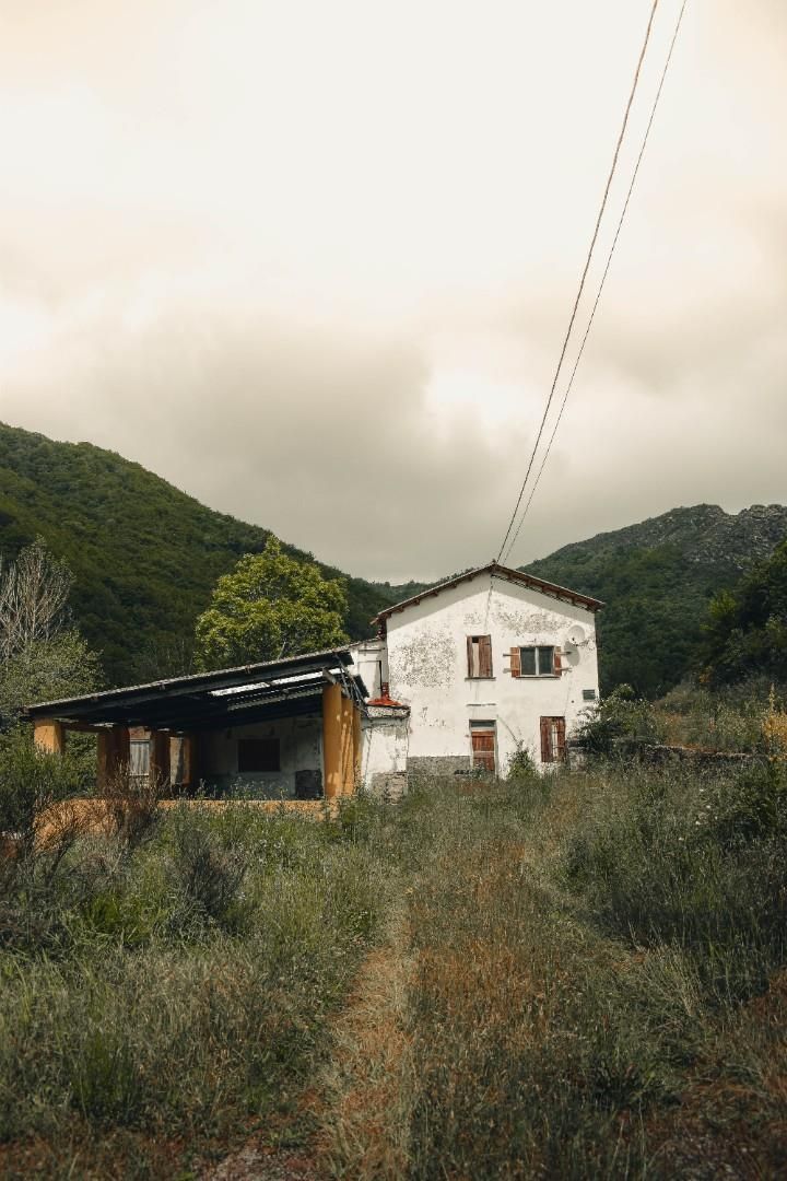 Exterior view of House or chalet for sale in Cármenes