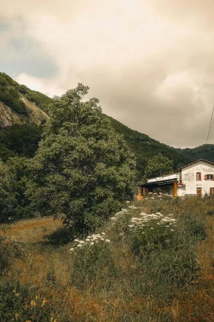 Vista exterior de Casa o chalet en venta en Cármenes