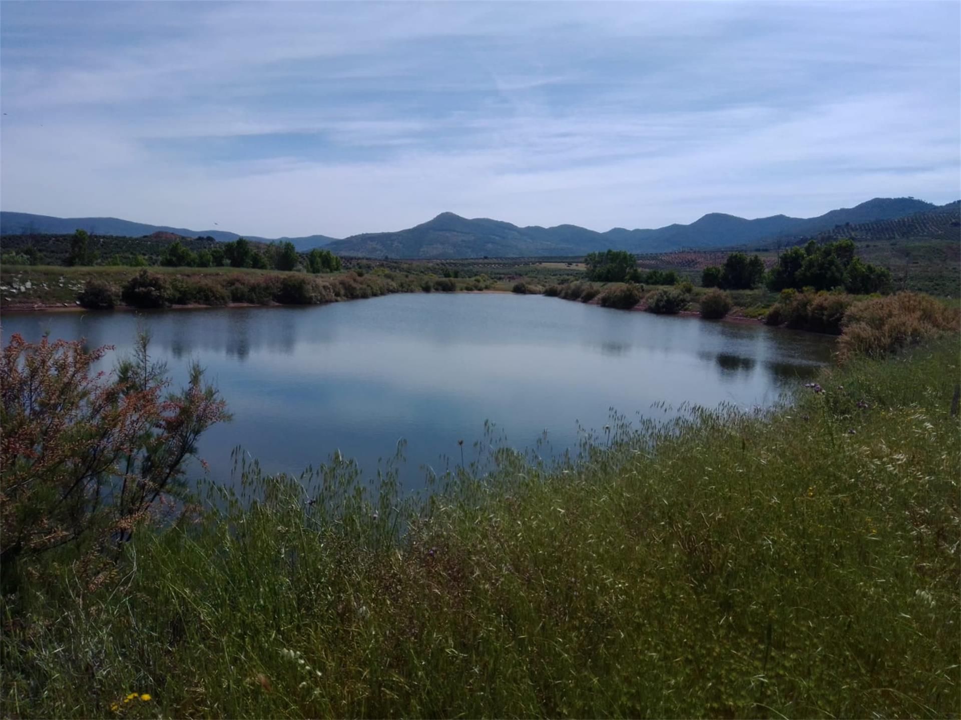 Country house for sale in Villanueva del Arzobispo
