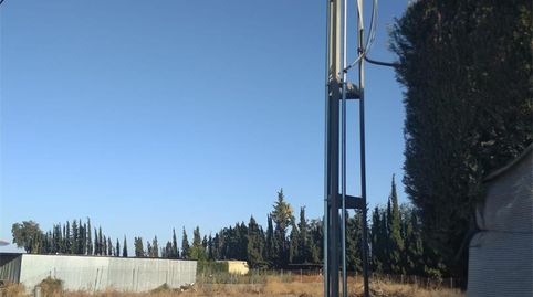 Foto 3 de Terreno en venta en Los Palacios y Villafranca, Sevilla