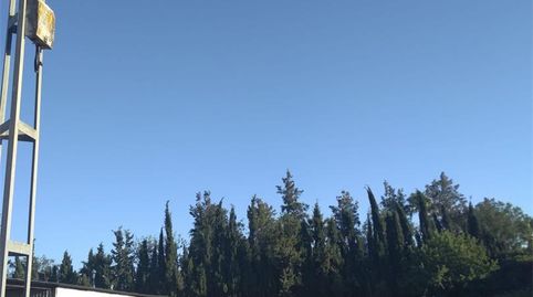 Foto 4 de Terreno en venta en Los Palacios y Villafranca, Sevilla