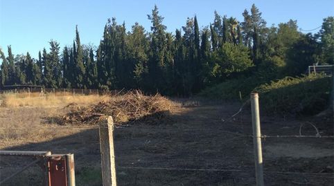 Foto 5 de Terreno en venta en Los Palacios y Villafranca, Sevilla