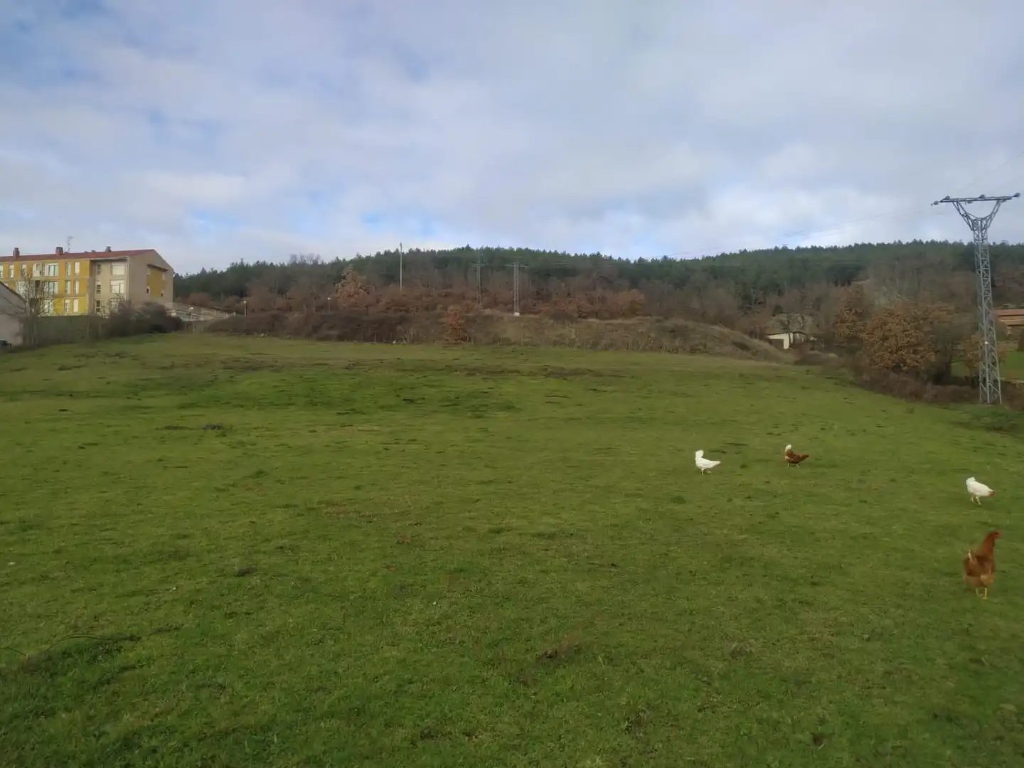 Land for sale in Barrio Polientes, Valderredible Land for sale in Valderredible