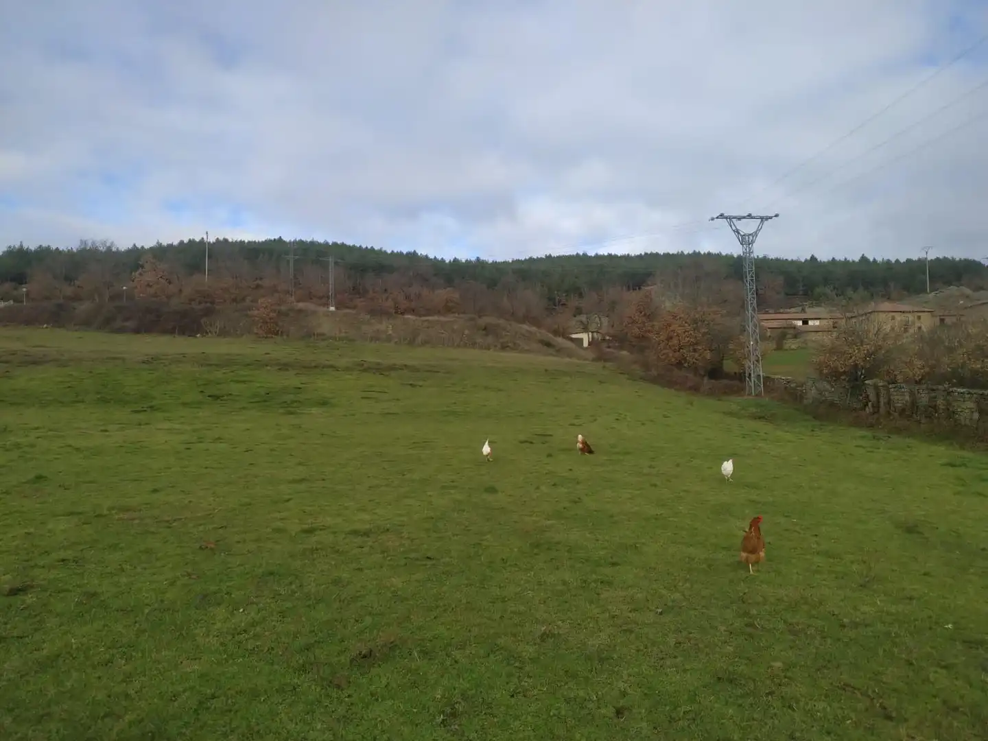 Land for sale in Barrio Polientes, Valderredible Land for sale in Valderredible