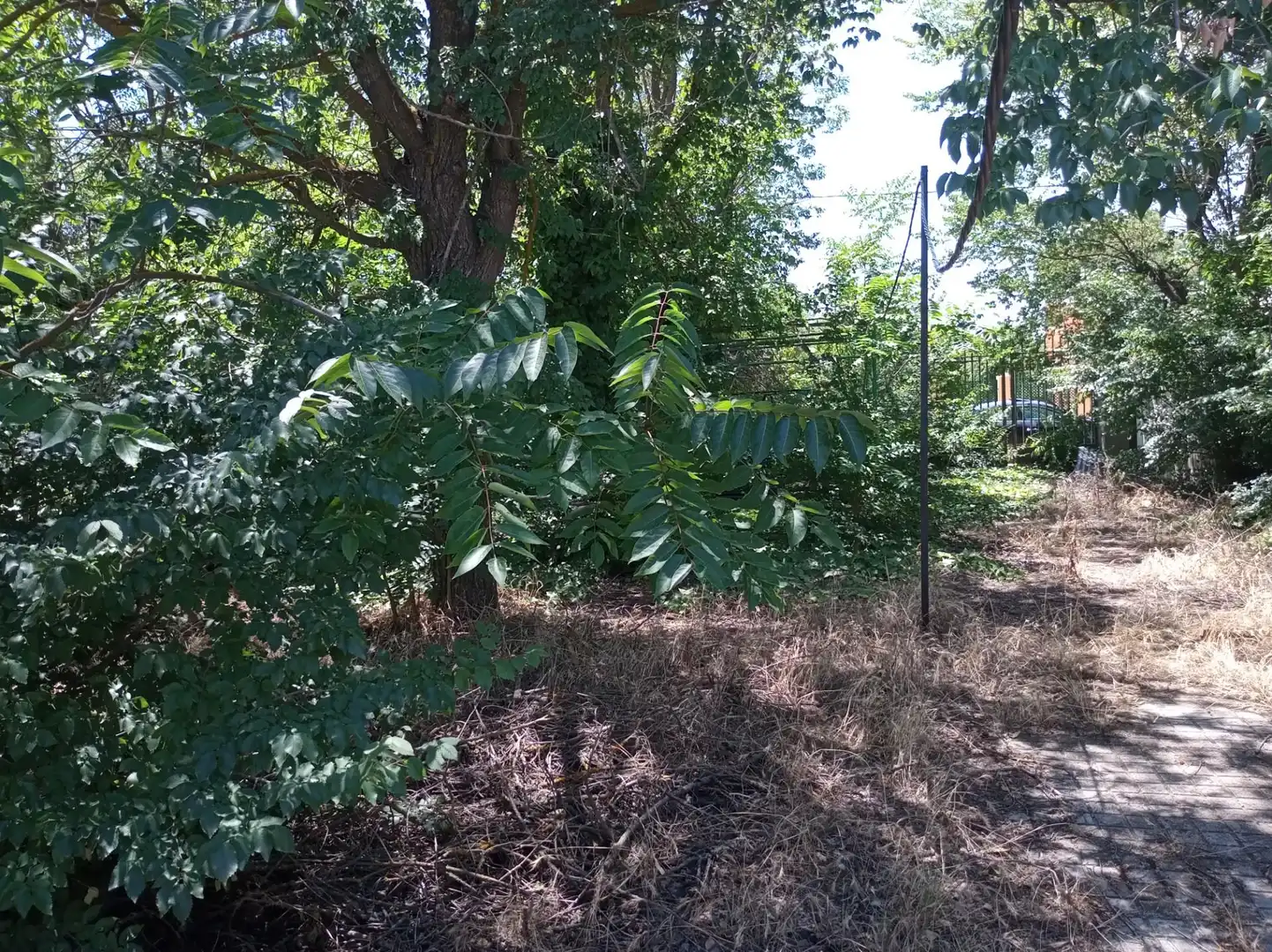 Planta baja en venta en CM-3130, 144, Villafranca de los Caballeros Planta baja en venta en Villafranca de los Caballeros con Trastero