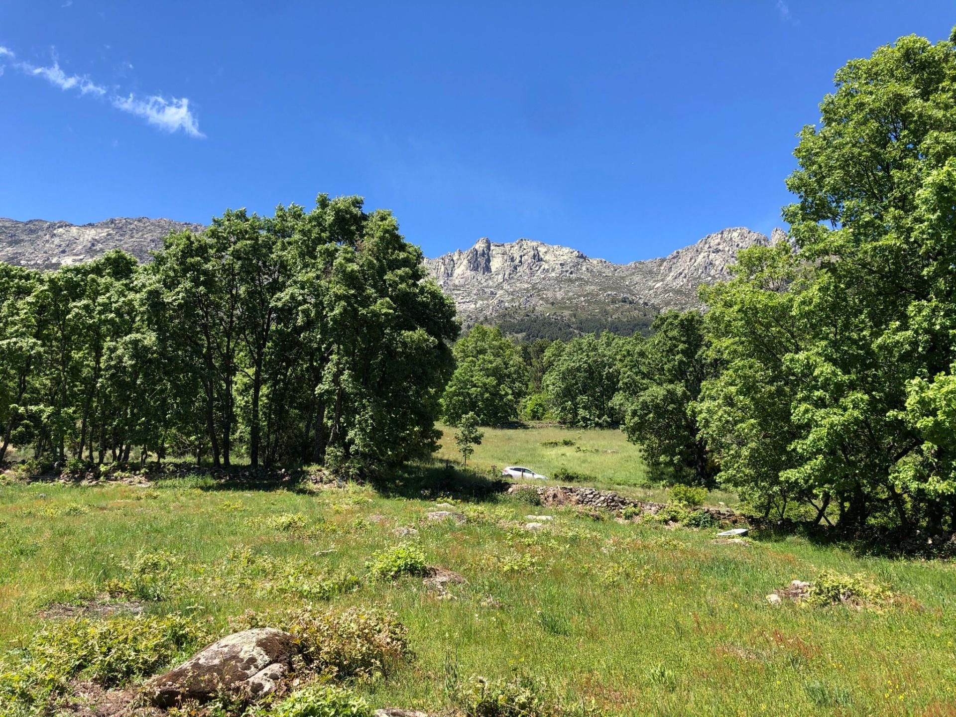 Exterior view of Land for sale in El Arenal 