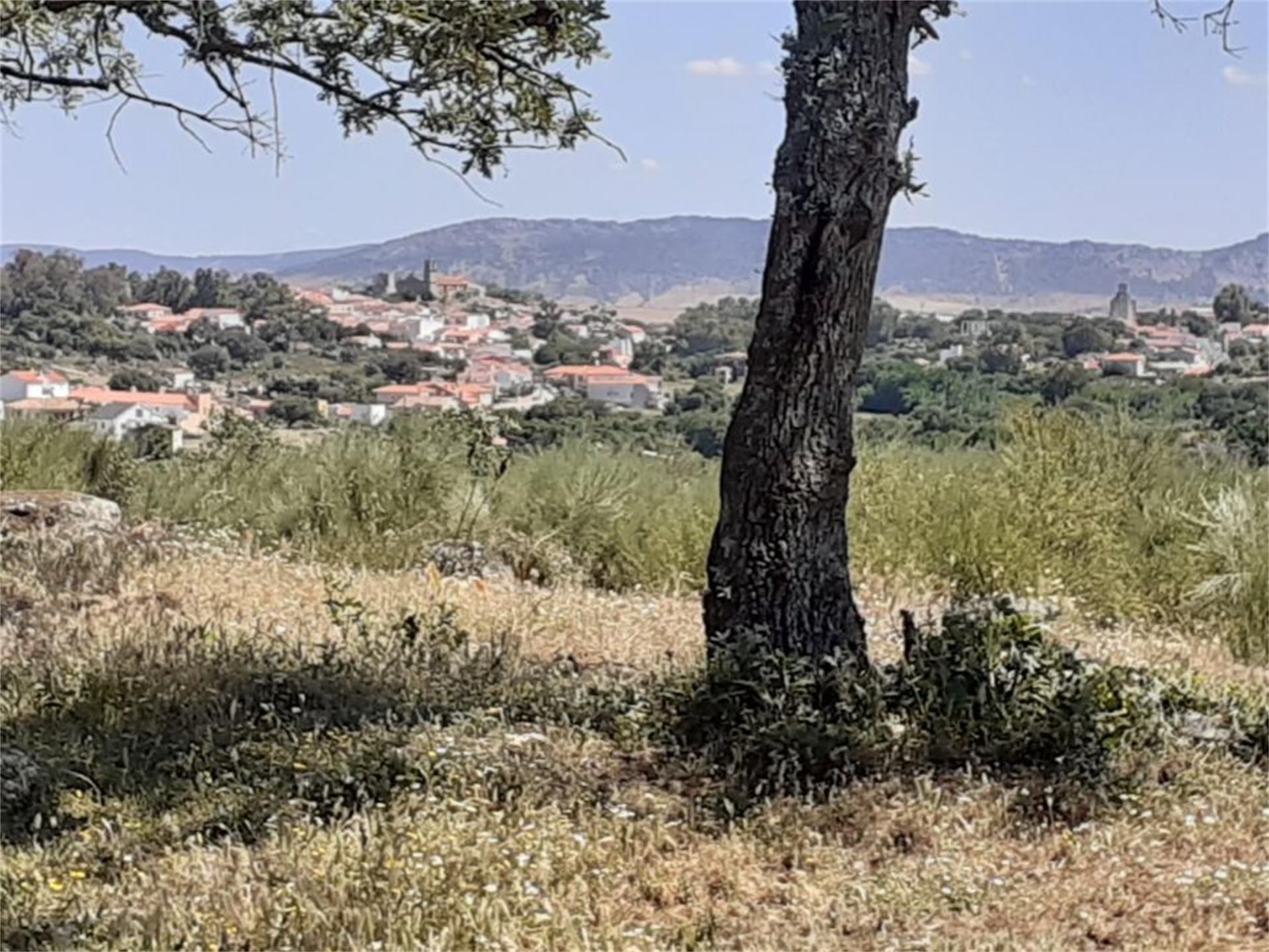 Land for sale in Valencia de Alcántara