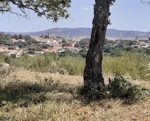 Land for sale in Valencia de Alcántara