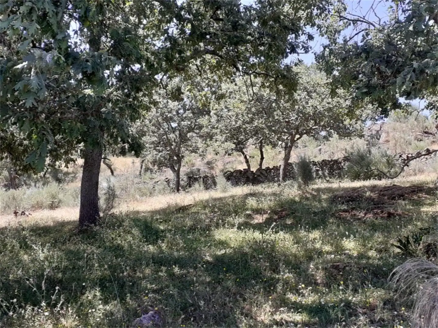 Terreno en venta en Calle Hernán Cortés, Valencia de Alcántara Terreno en venta en Valencia de Alcántara