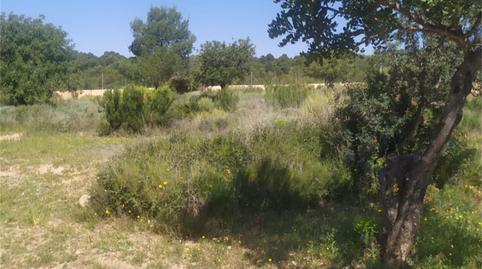 Casa o xalet en venda a Polígono 12, 100, Olocau, Valencia - imatge 3 Foto 3 de Casa o xalet en venda a Polígono 12, 100, Olocau, Valencia