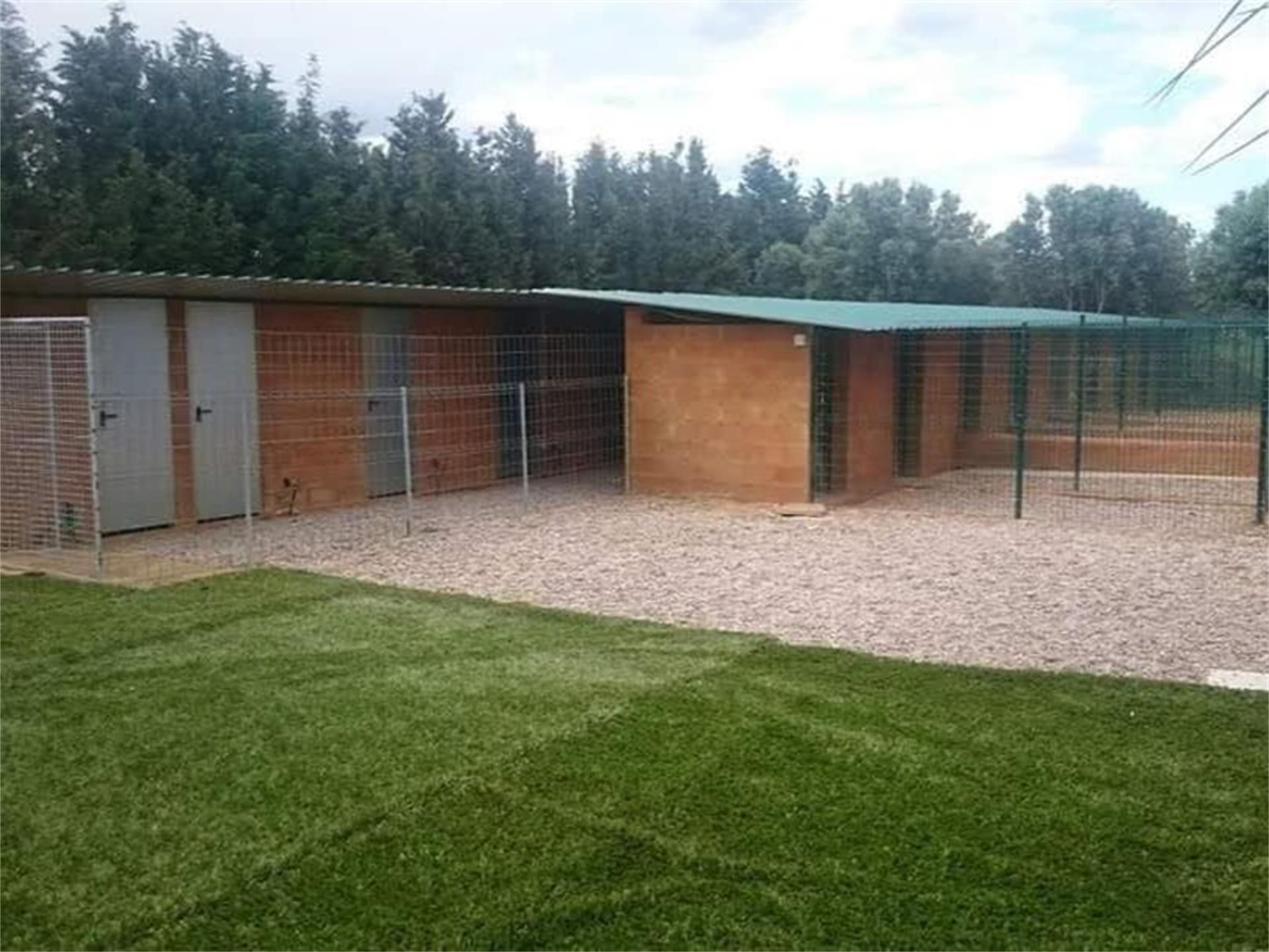Exterior view of Industrial land for sale in Pinseque