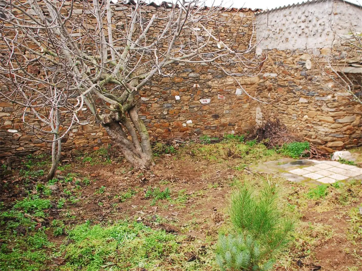 Casa adosada en venda a Paseo de Pizarro, Torrejón el Rubio Casa adosada en venda en Torrejón el Rubio