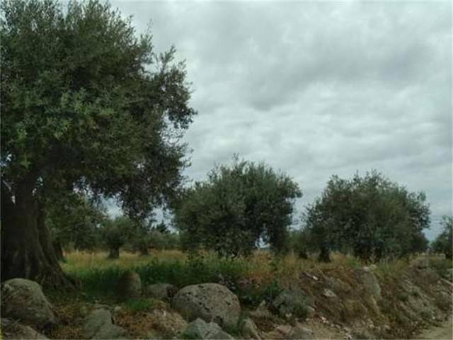 Terreno en Venta en Calle Marmarotero, 4 en San Martín de Montalbán