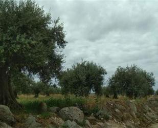 Grundstücke zum verkauf in San Martín de Montalbán