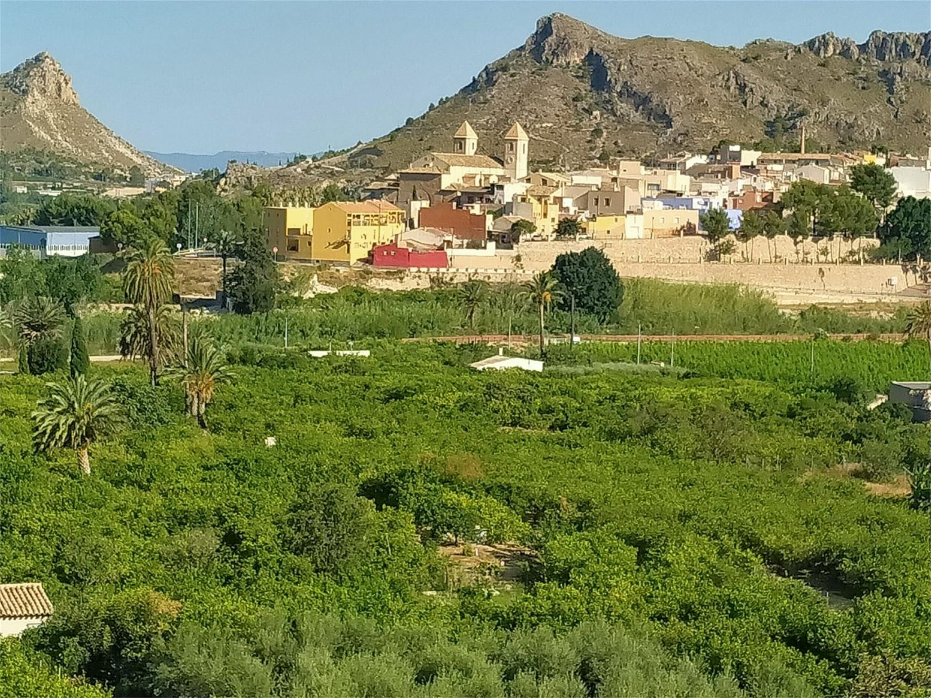 Vista exterior de Finca rústica en venda en Ulea amb Terrassa i Balcó