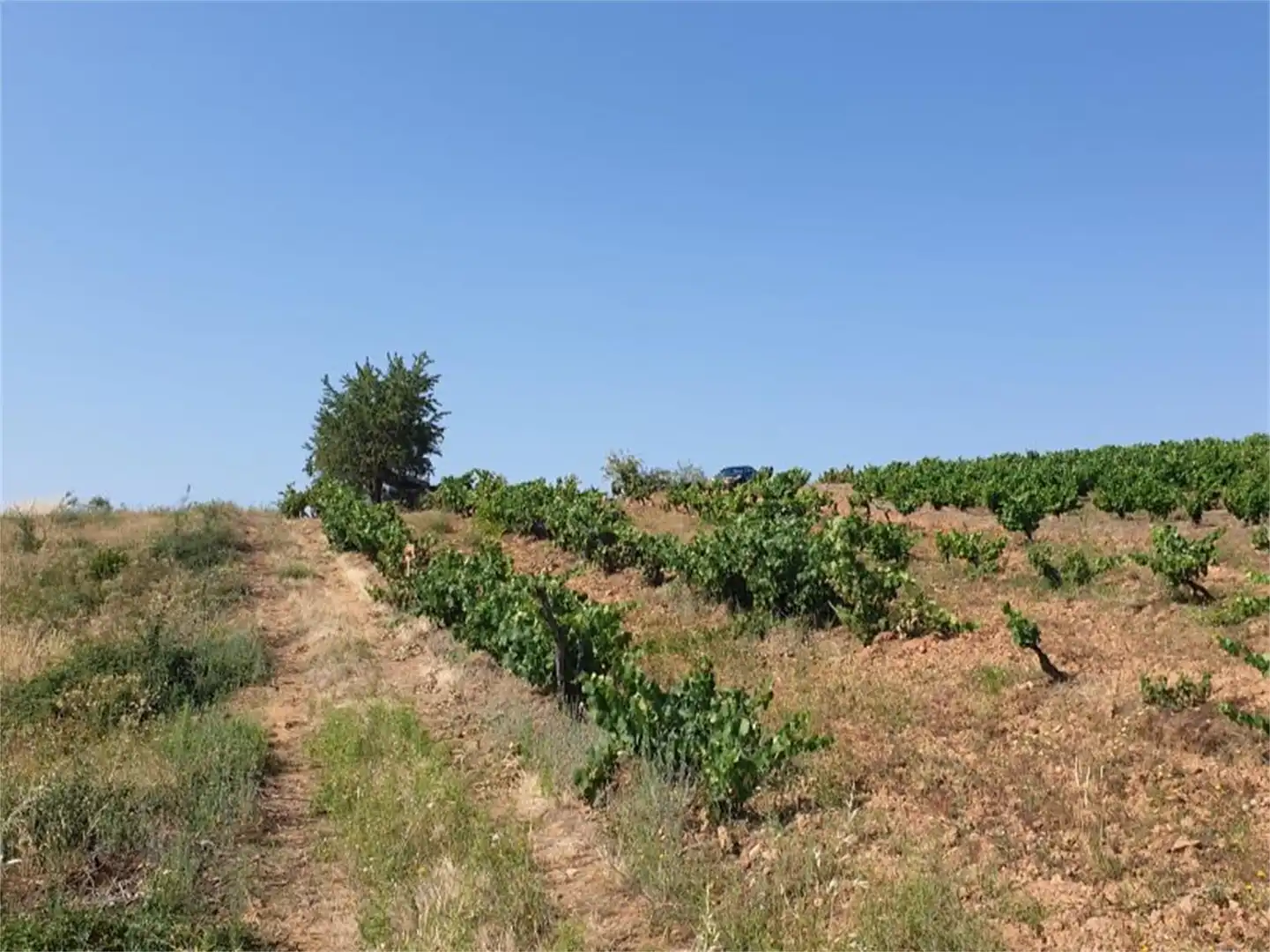 Planta baja en venta en Calle San Pedro, Cacabelos Planta baja en venta en Cacabelos con Amueblado