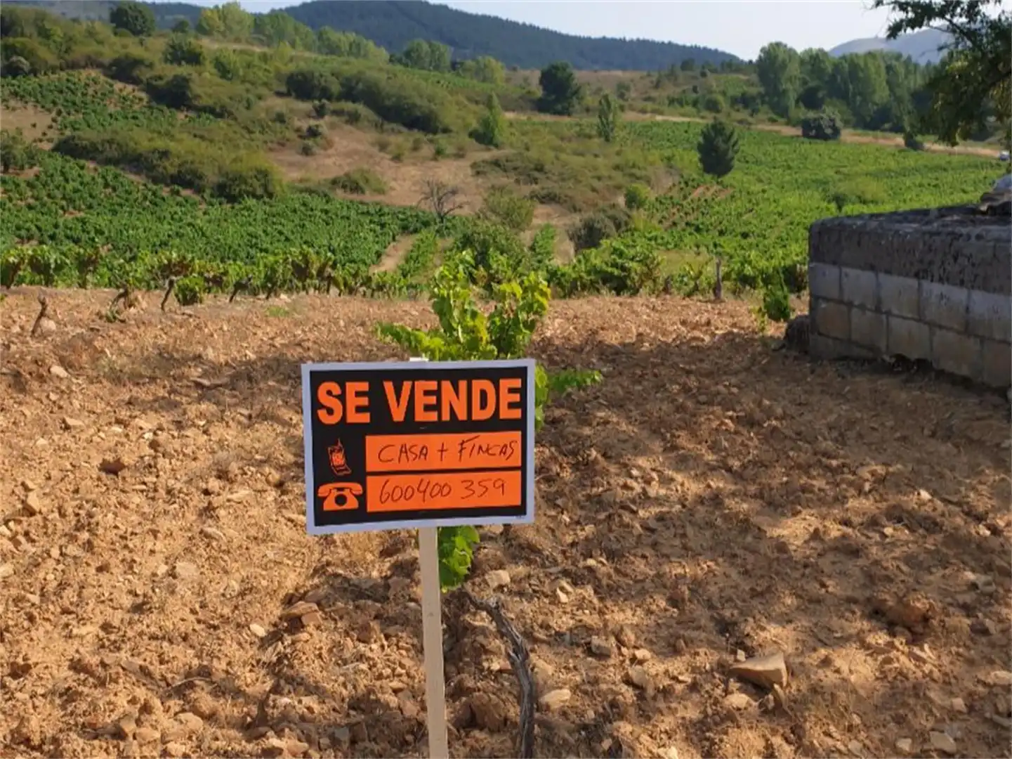 Planta baja en venta en Calle San Pedro, Cacabelos Planta baja en venta en Cacabelos con Amueblado