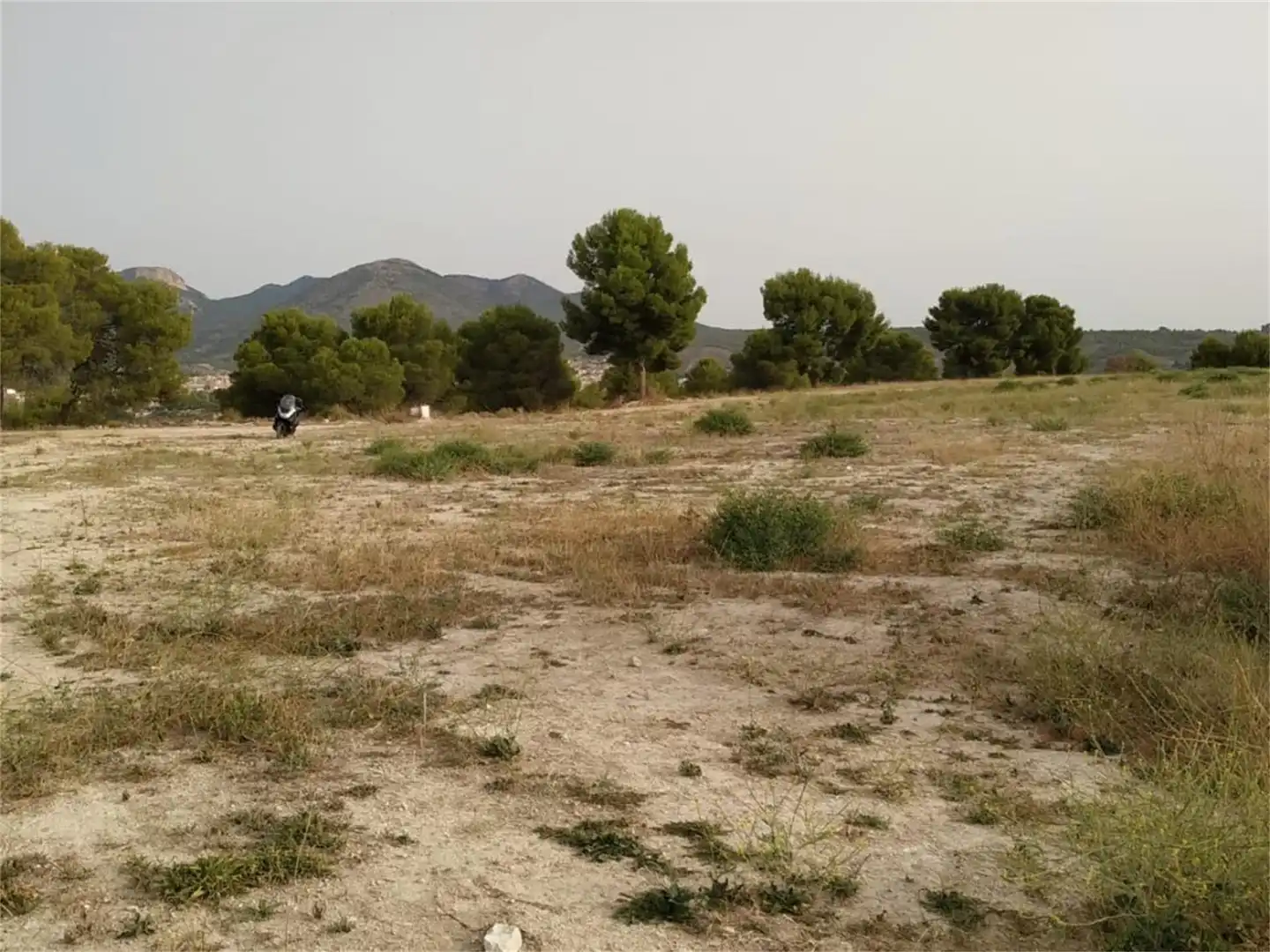 Land for sale in Caravaca de la Cruz