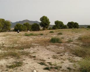 Land for sale in Caravaca de la Cruz