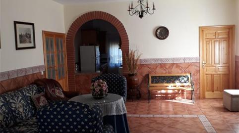 Foto 3 de Terreny en venda a Camino de Los Pilones, Villaviciosa de Córdoba, Córdoba