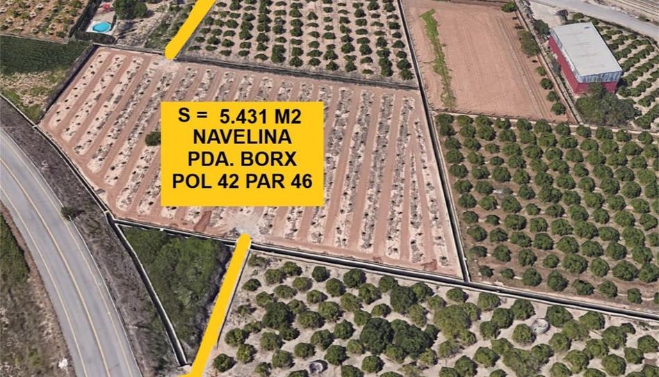 Non-constructible Land for sale in Sueca ciudad, Valencia - image 1 Photo 1 of Non-constructible Land for sale in Sueca ciudad, Valencia