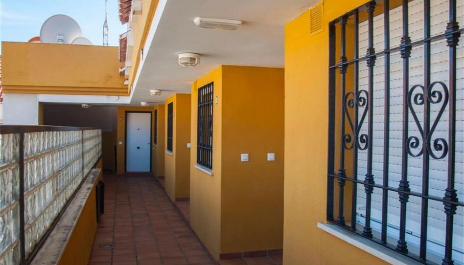 Dúplex de lloguer a Salobreña Costa, Granada - imatge 1 Foto 1 de Dúplex de lloguer a Salobreña Costa, Granada