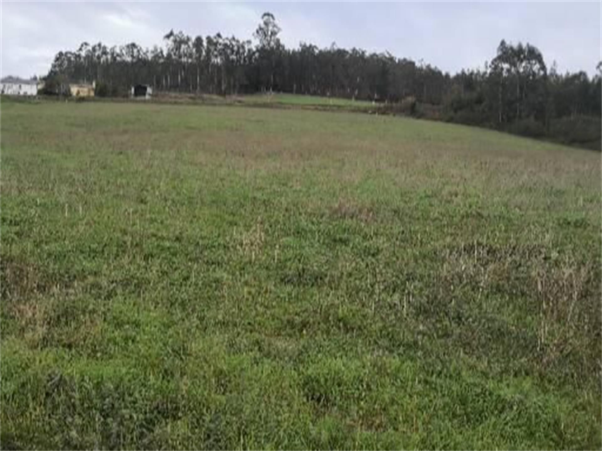 Exterior view of Land for sale in San Tirso de Abres