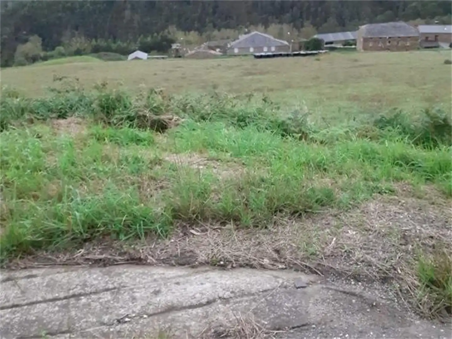 Exterior view of Land for sale in San Tirso de Abres