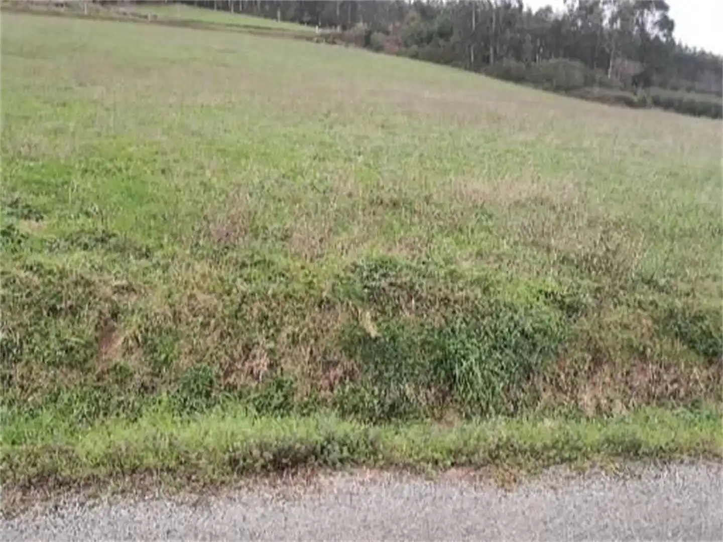 Land for sale in San Tirso de Abres