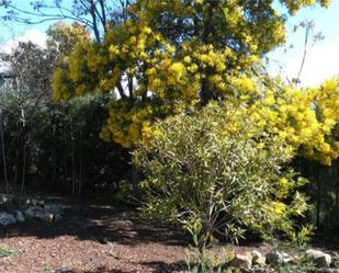 Jardí de Terreny en venda en Almodóvar del Campo